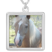 Haflinger Bijuterias