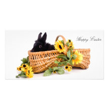 Happy Easter Cartão Com Foto