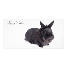 Happy Easter Cartao Com Fotos