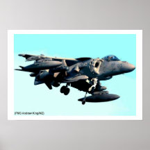 Harrier Posters