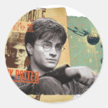 Harry Potter 13 Adesivo
