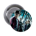 Harry Potter com Dumbledore Ron e Hermione 1 Pins
