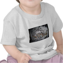 hartstracts 019 camisetas
