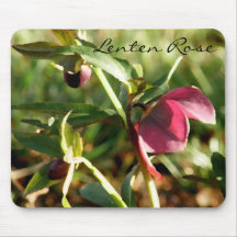Hellebore rosado mousepad