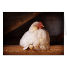 hetty&chick cartoes