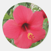 Hibiscus Adesivo Redondo