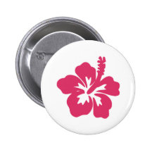 Hibiscus Botons