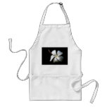 Hibiscus branco contra black.jpg aventais