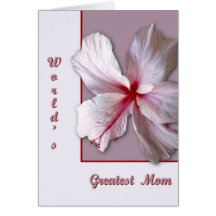 Hibiscus Cartões