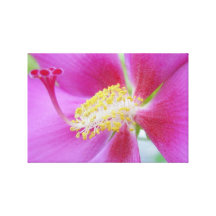 Hibiscus de Impresso® por MB7Art Impressão De Canvas Esticadas