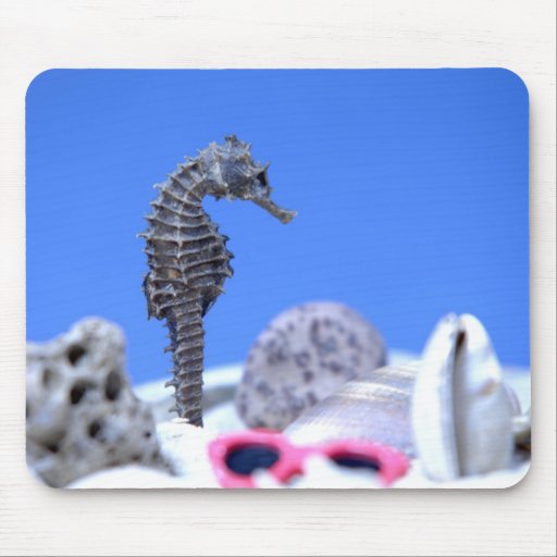 Hipocampo Mousepads
