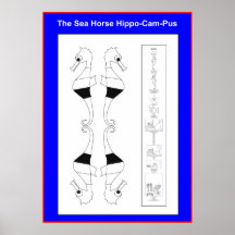 Hipocampo o poster da cor você mesmo do cavalo mar