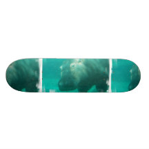 Hipopótamo sob o skate da água