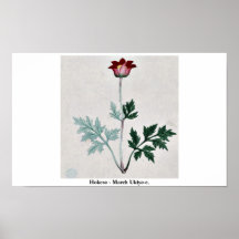 Hokeso - março Ukiyo-e. Posters