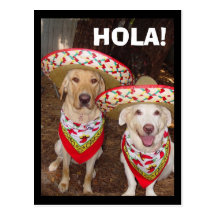 HOLA! CARTAO POSTAL