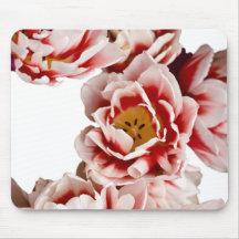 Holandês-Mestrado Mouse Pad