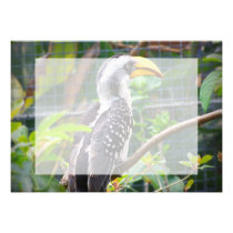 hornbill na vara em plantas verdes convites