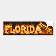 hottie de florida adesivos