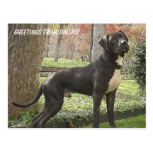 Hudson - cumprimentos de Dallas! Cartão Cartoes Postais