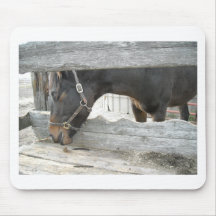 Humor do cavalo de fazenda mousepad