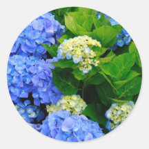 Hydrangeas Adesivo Redondo
