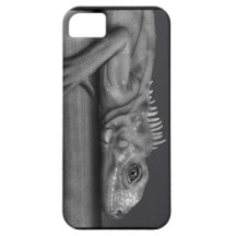 Iguana Capas iPhone 5