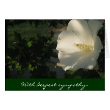II com sympathy~ o mais profundo Cartoes