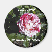 Ímã cor-de-rosa listrado vermelho e branco imã