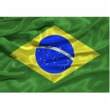 Ímã da bandeira de Brasil Escultura De Fotos