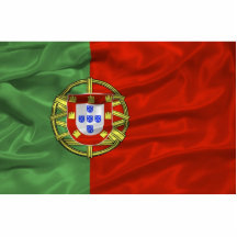 Ímã da bandeira de Portugal Escultura De Foto