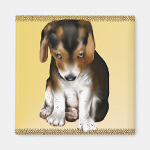 Ímã da regra dos filhotes de cachorro ima