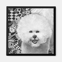 Ímã de Bichon Frise Imã