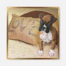 Ímã do amor de filhote de cachorro do pugilista imã