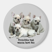 Ímã do buldogue francês imã de refrigerador