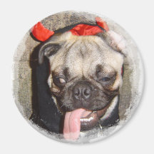 Ímã do Pug Imã De Refrigerador