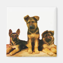 Ímã dos filhotes de cachorro do german shepherd imas