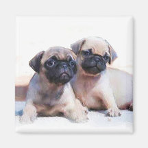 Ímã dos filhotes de cachorro do Pug Imas