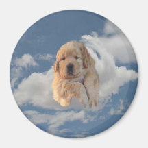 Ímã dourado do filhote de cachorro Heavenly Imas De Geladeira