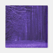 Ímã Enchanted da floresta Imã