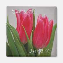 Imã salve a data cor-de-rosa das tulipas