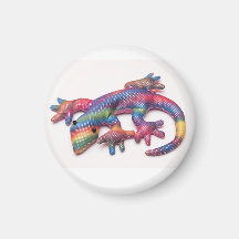 iman con lagarto arcoiris
