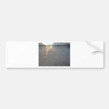 IMG452.jpg Adesivos