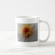 IMG_1821a Caneca