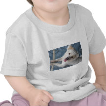 IMG_6813.JPG T-SHIRT