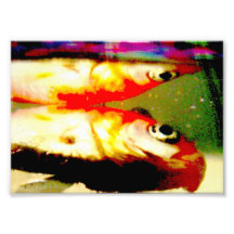 impressão 5x7 da arte dos deadfish " foto artes
