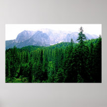 Impressão alpino da floresta