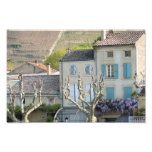 IMPRESSÃO - cena France da vila rural Foto