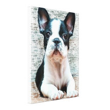 Impressão da arte das canvas do buldogue francês impressão em canvas