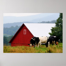 Impressão da paisagem da fazenda da vaca