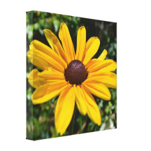 Impressão de sorriso das canvas de Susan de olhos  Impressão De Canvas Envolvidas